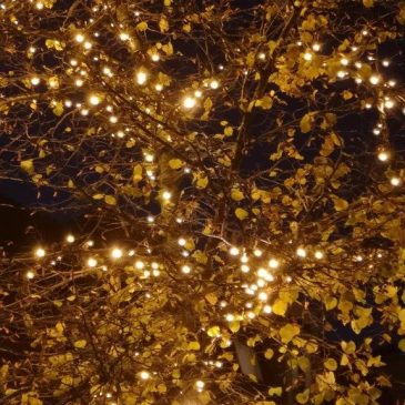 Gold in the Shadows: Alchemising Trauma in Turbulent Times